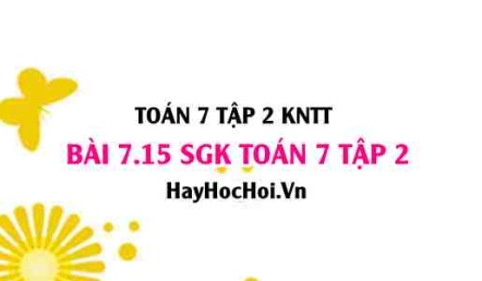 Bài 7.15 SGK Toán 7 tập 2 Kết nối tri thức